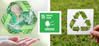 15 - KARASAL YAŞAM