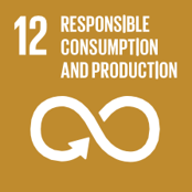 12 - RESPONSIBLE CONSUMPTION AND PRODUCTION