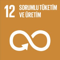 12 - SORUMLU TÜKETİM VE ÜRETİM