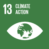 13 - CLIMATE ACTION