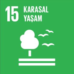 15 - KARASAL YAŞAM