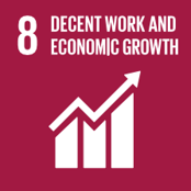 8 - DECENT WORK AND ECONOMIC GROWTH
