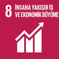 8 - İNSANA YAKIŞIR İŞ VE EKONOMİK BÜYÜME